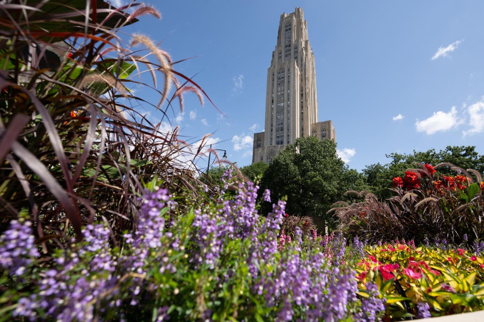 Cathedral of learning in spring