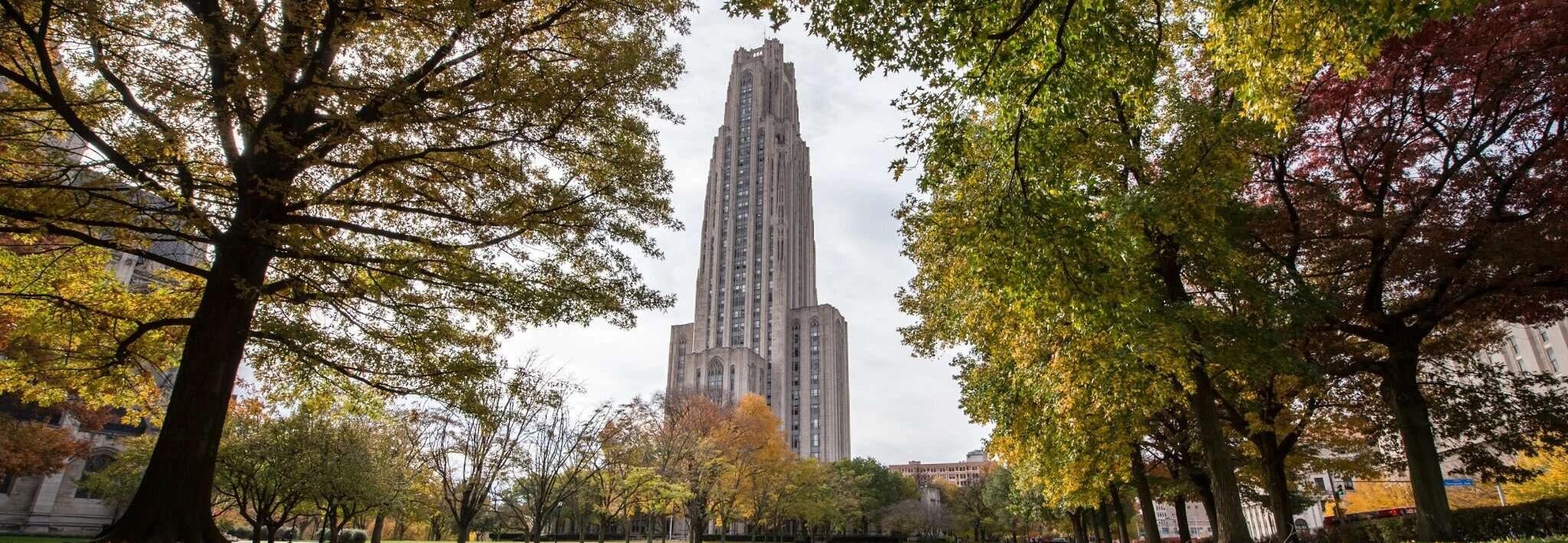 cathedral in fall